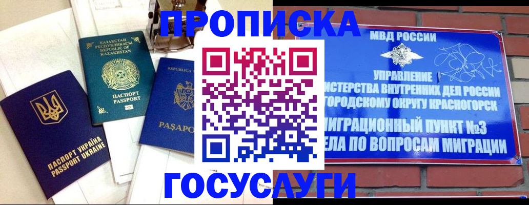 купить прописку в Звенигово